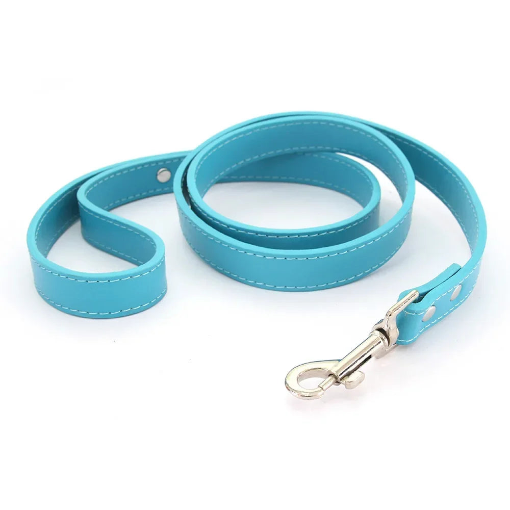 Laisse pour chien - Cuir