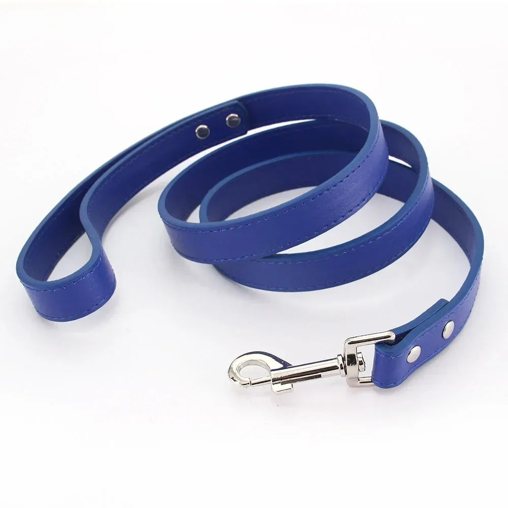 Laisse pour chien - Cuir