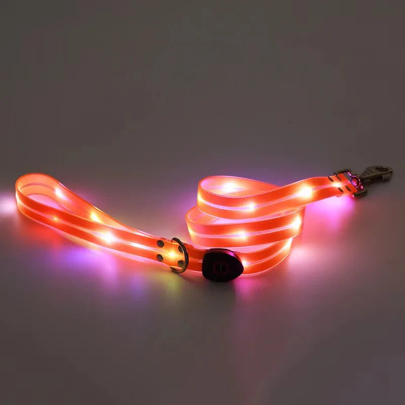 Laisse chien - LED