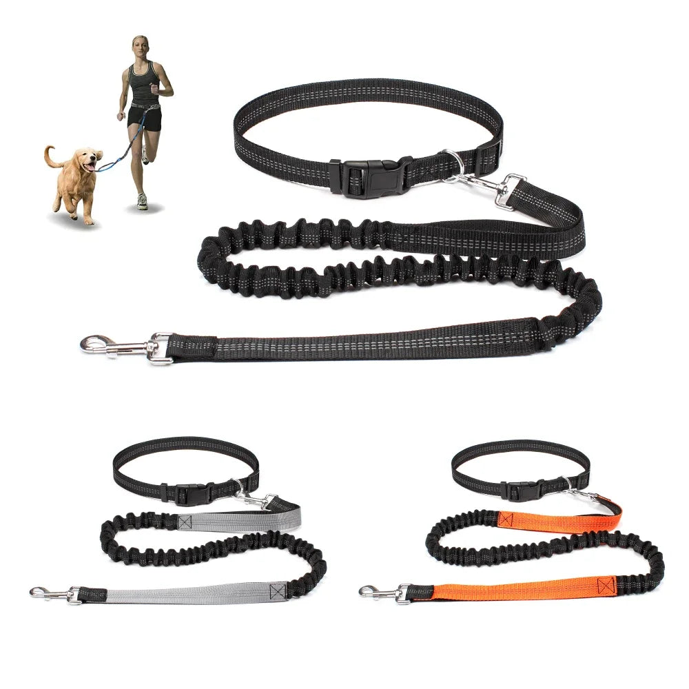 Laisse chien - Main libre
