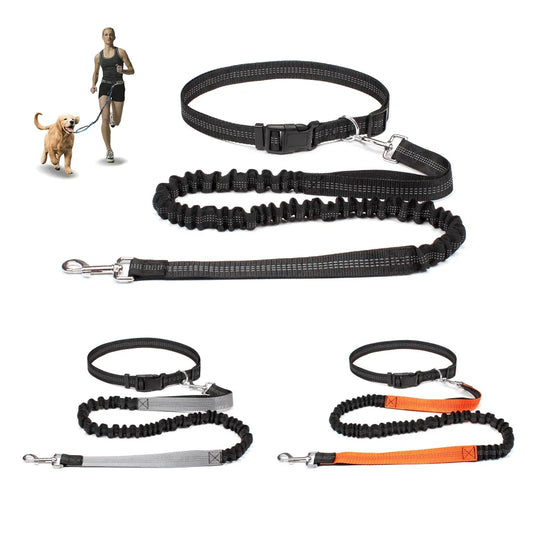 Laisse chien - Main libre