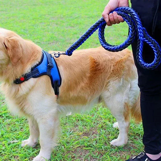 Laisse pour chien - nylon