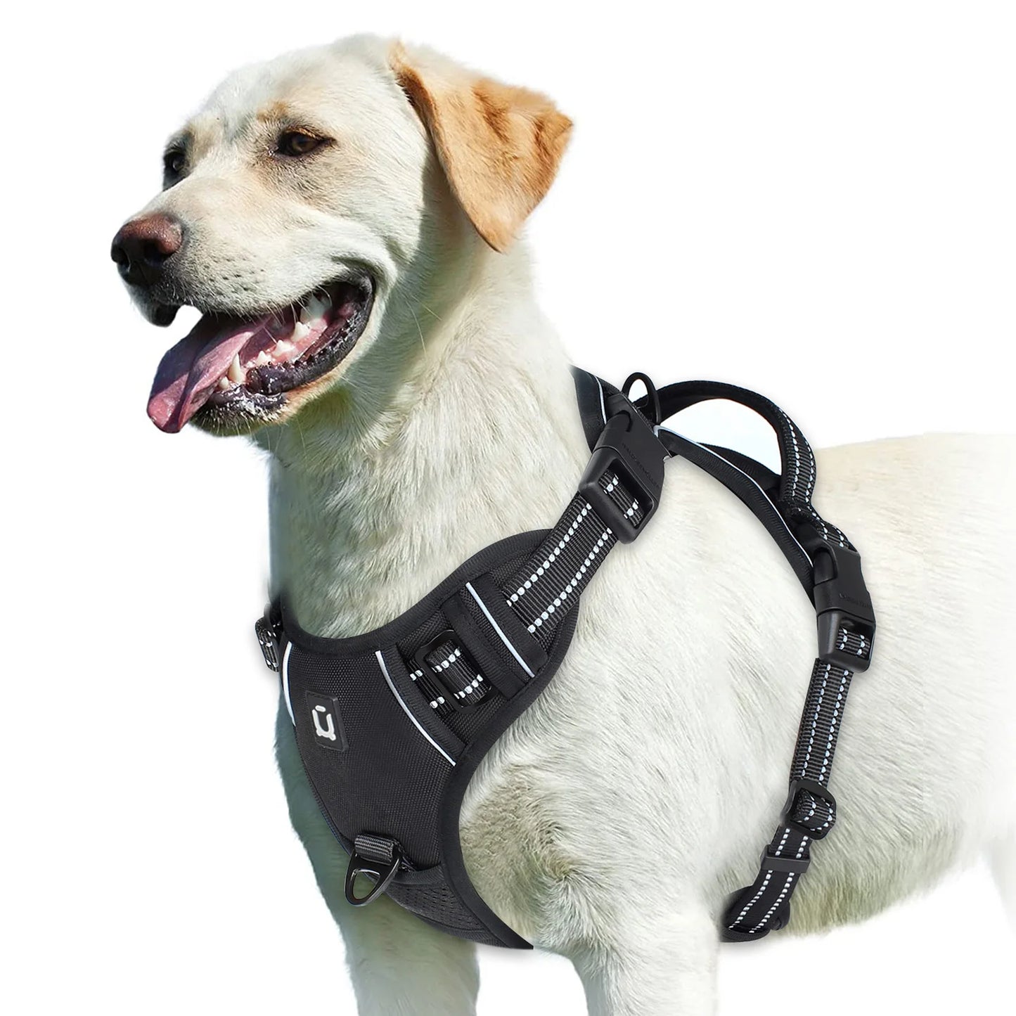Harnais chien anti traction - Rembourré