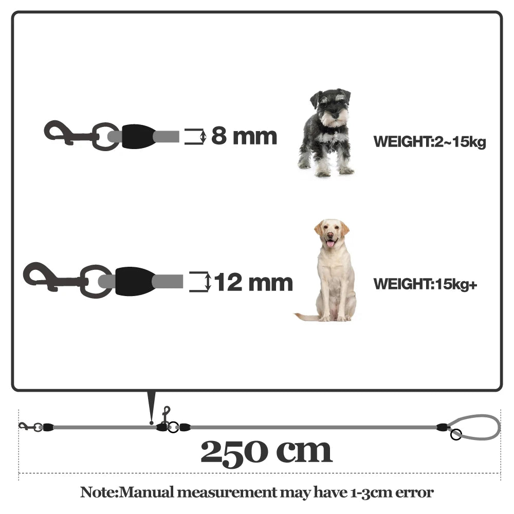 Laisse pour chien - Traction