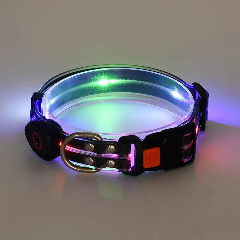 Laisse chien - LED