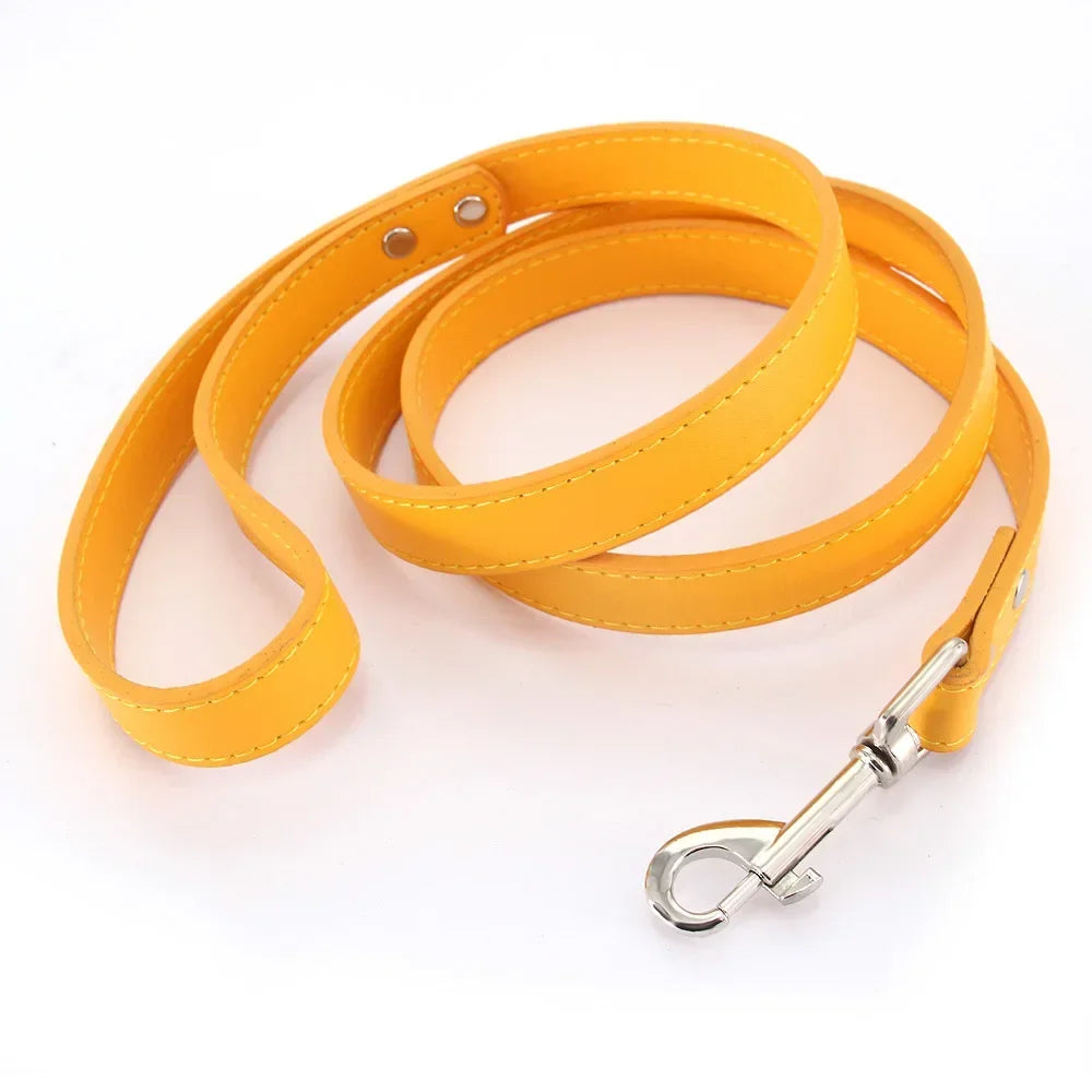 Laisse pour chien - Cuir