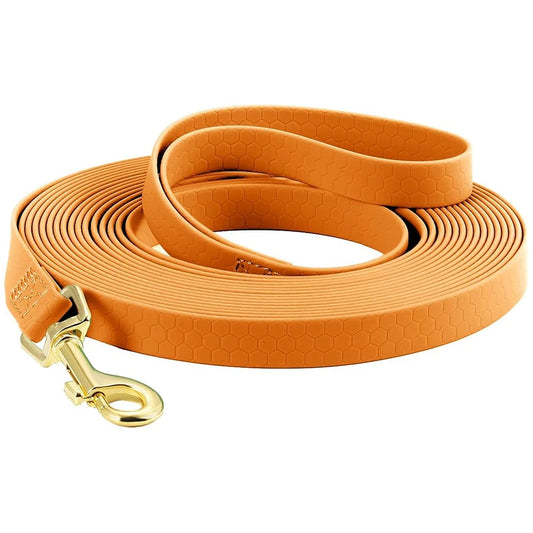 Laisse pour chien - durable