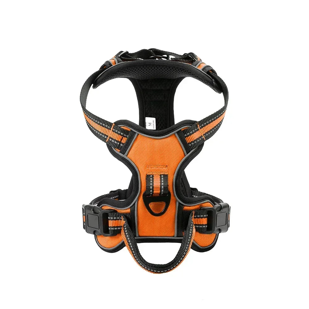 Harnais chien | Ajustable