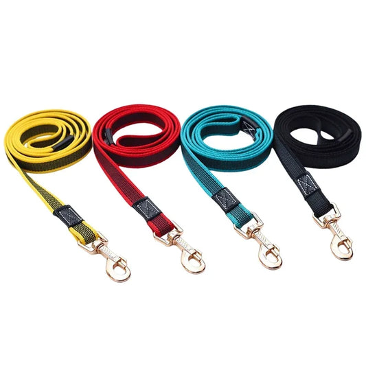 Laisse pour chien - Tissé