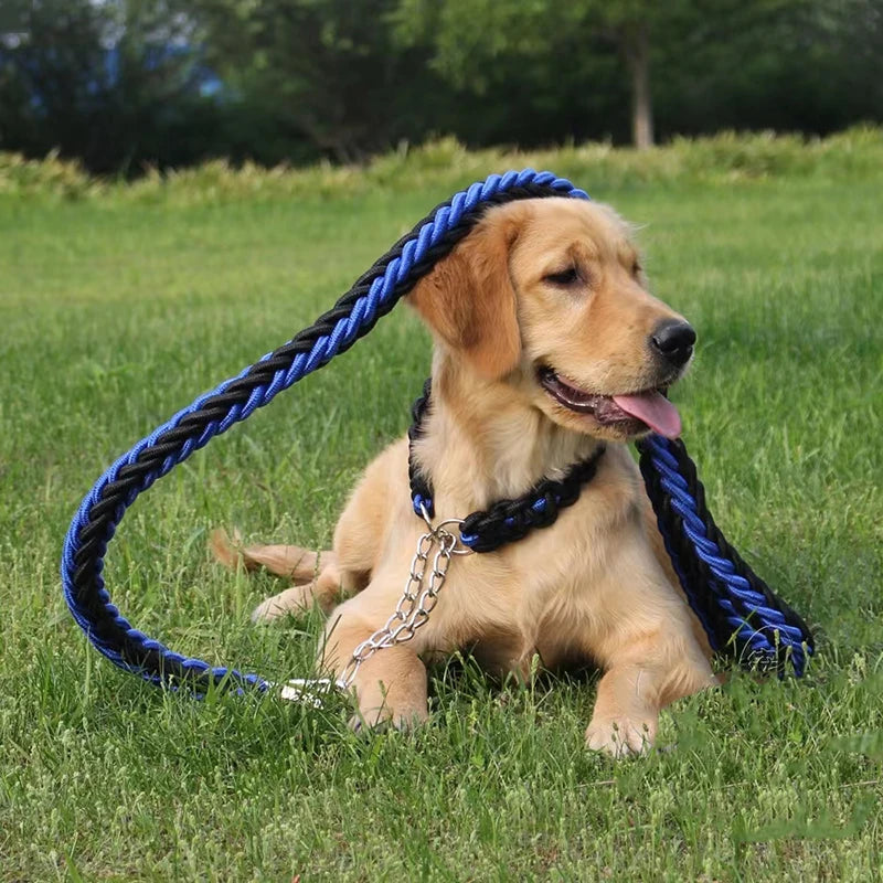 Laisse pour chien - nylon