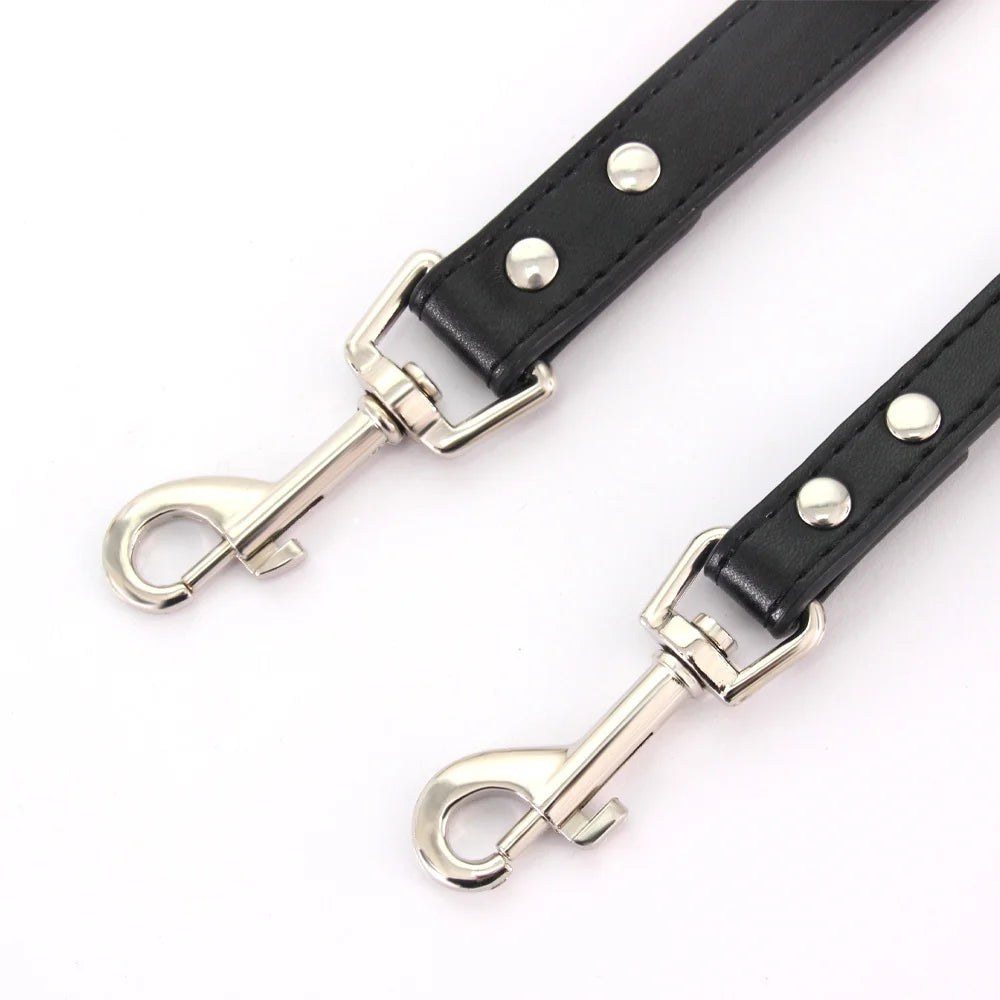 Laisse pour chien - Cuir