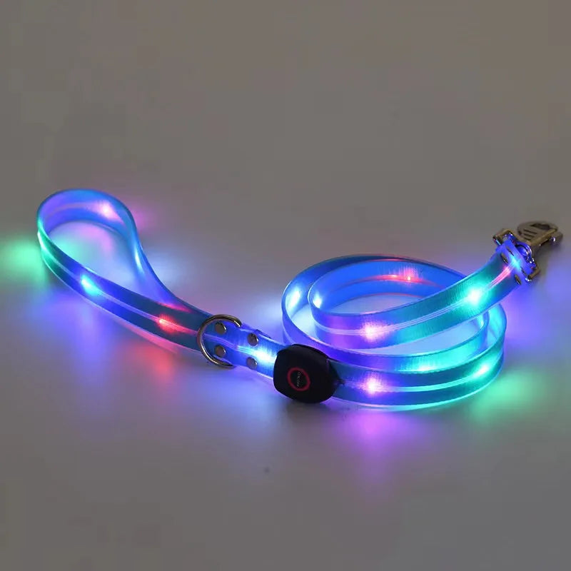 Laisse chien - LED