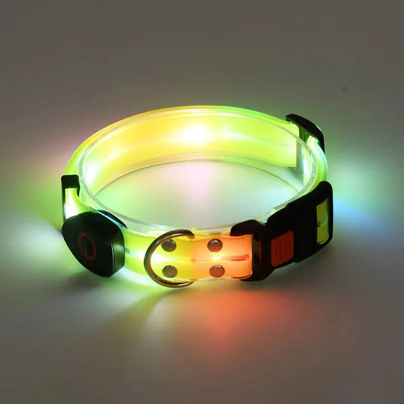 Laisse chien - LED