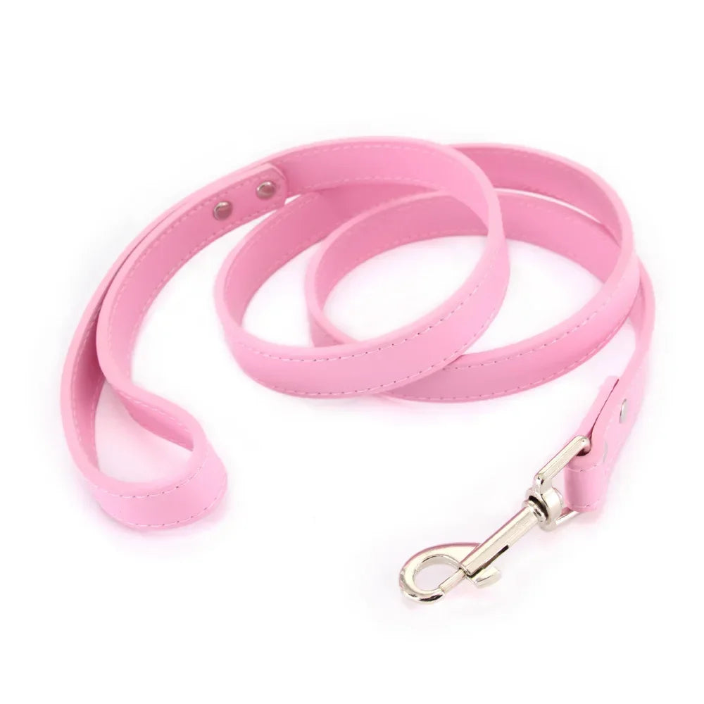 Laisse pour chien - Cuir
