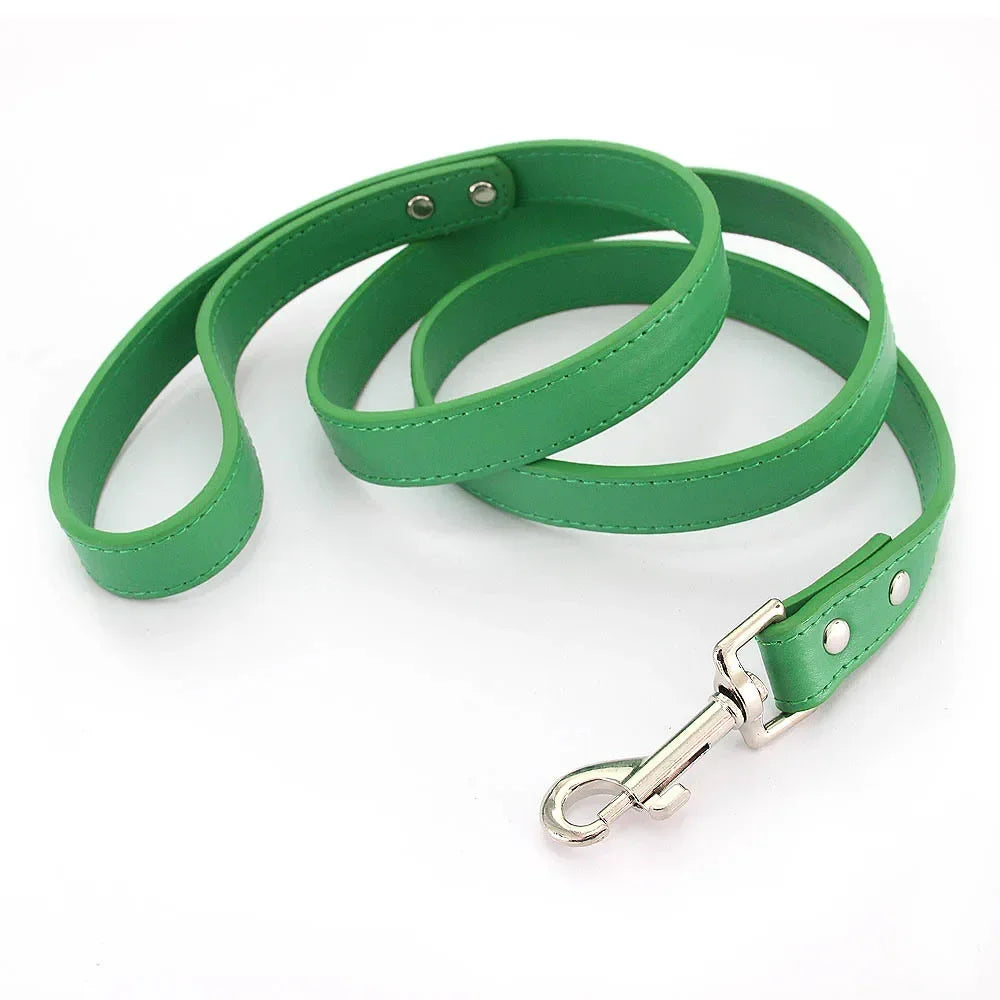 Laisse pour chien - Cuir