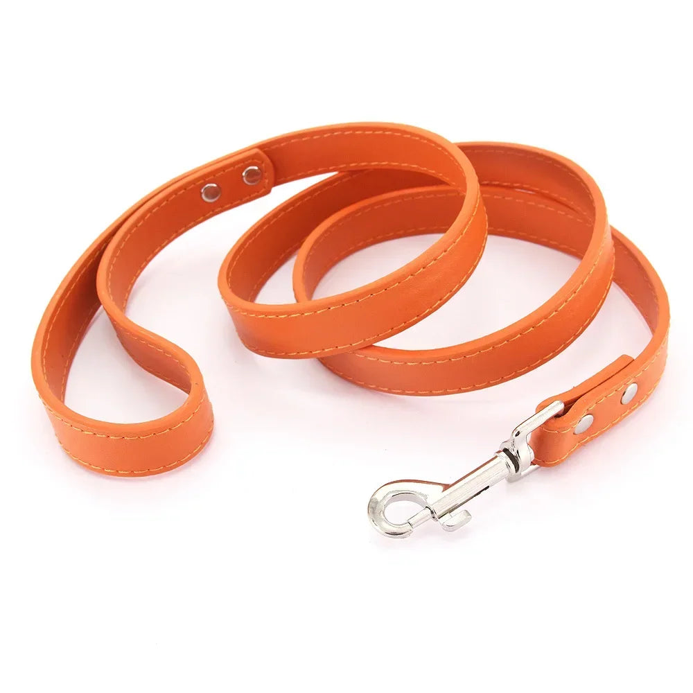 Laisse pour chien - Cuir