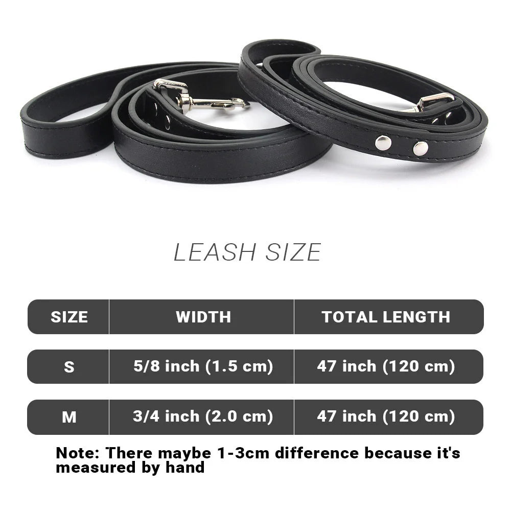 Laisse pour chien - Cuir