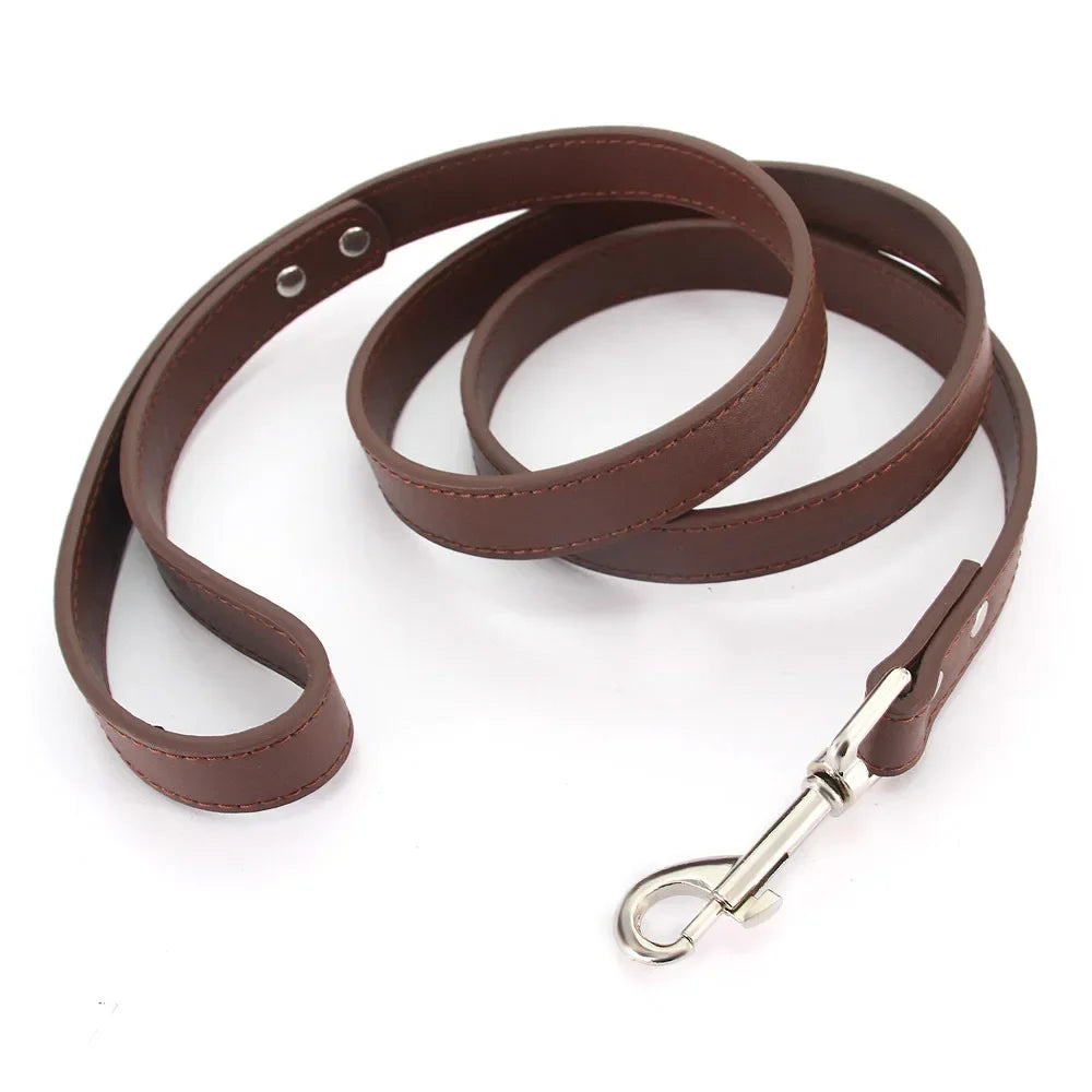 Laisse pour chien - Cuir