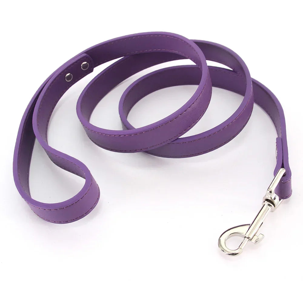 Laisse pour chien - Cuir