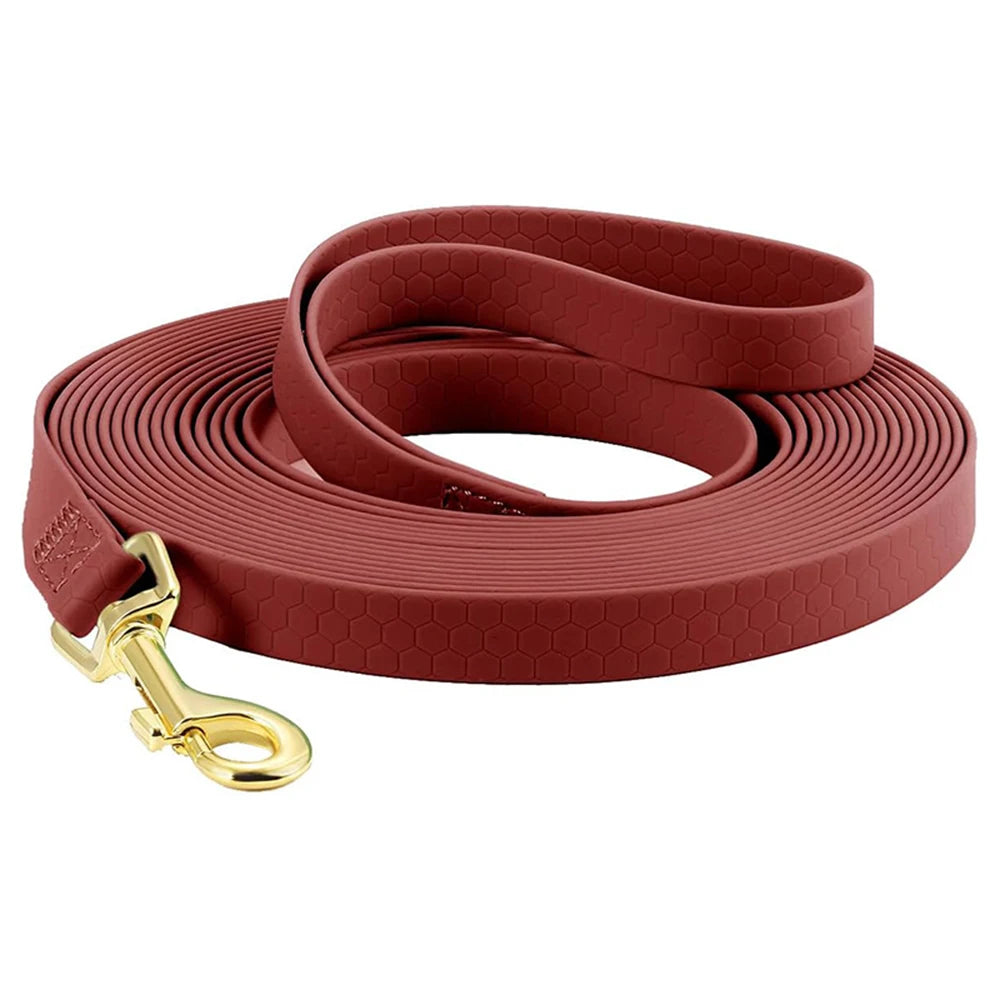 Laisse pour chien - durable