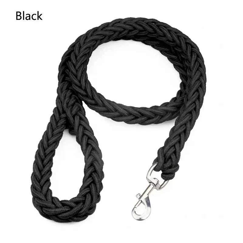 Laisse pour chien - nylon
