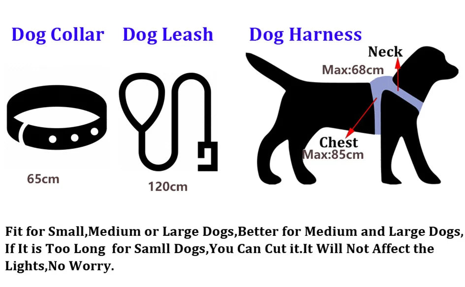 Laisse chien - LED