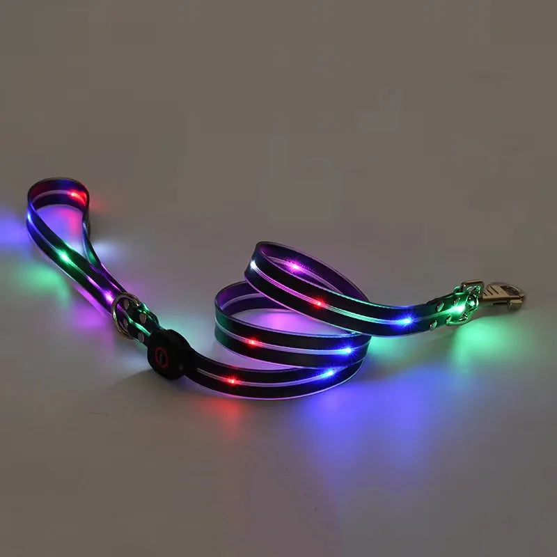 Laisse chien - LED