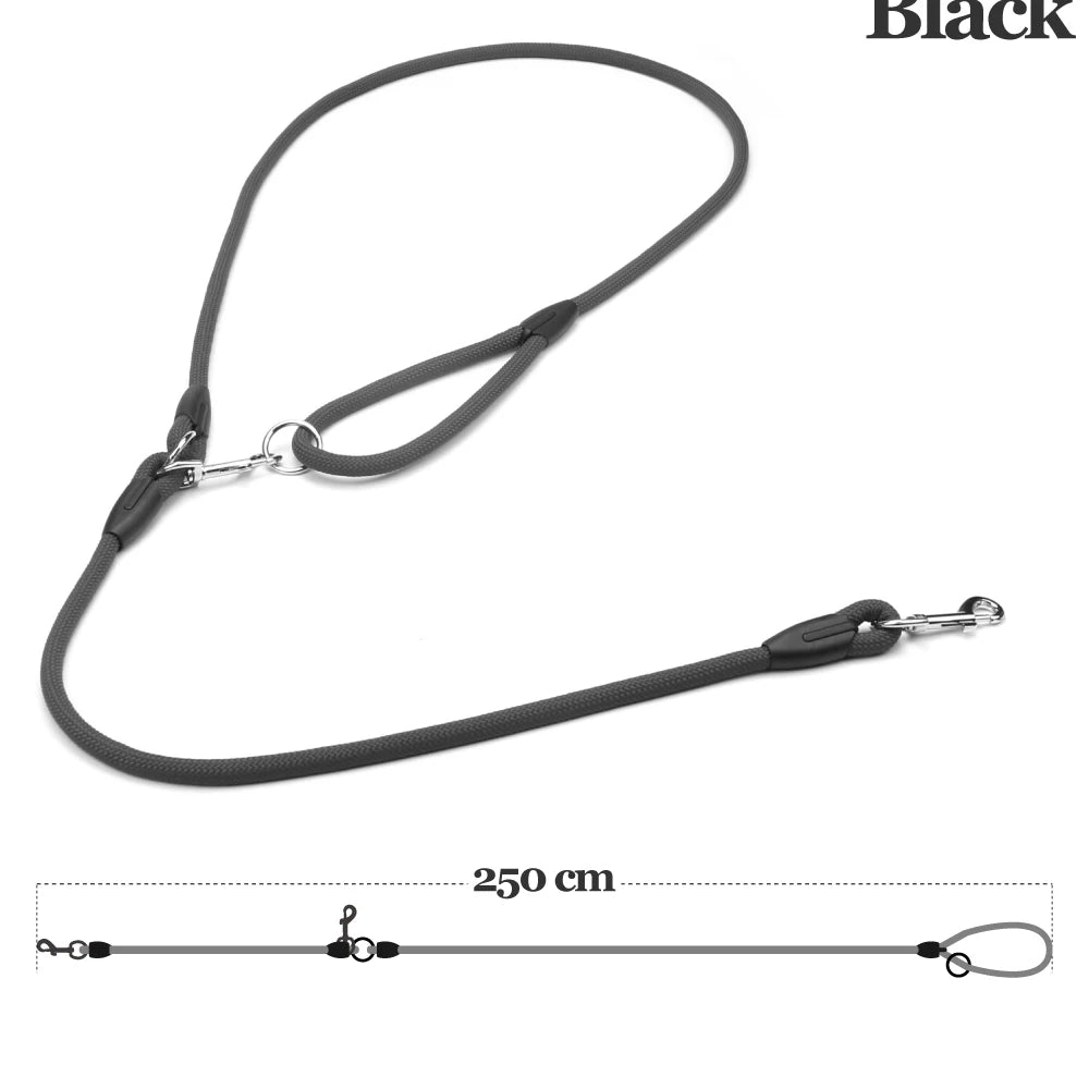 Laisse pour chien - Traction