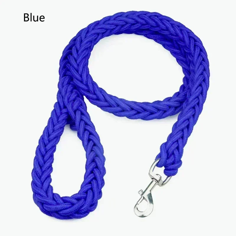 Laisse pour chien - nylon