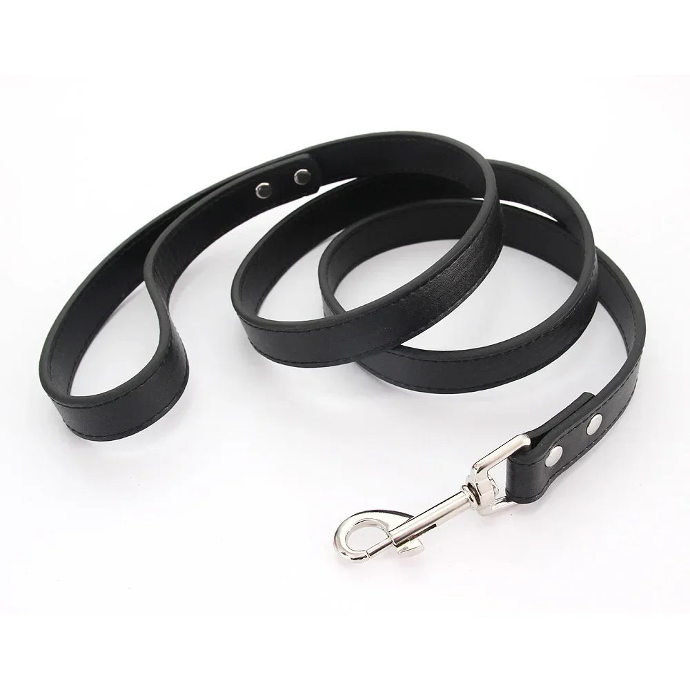 Laisse pour chien - Cuir
