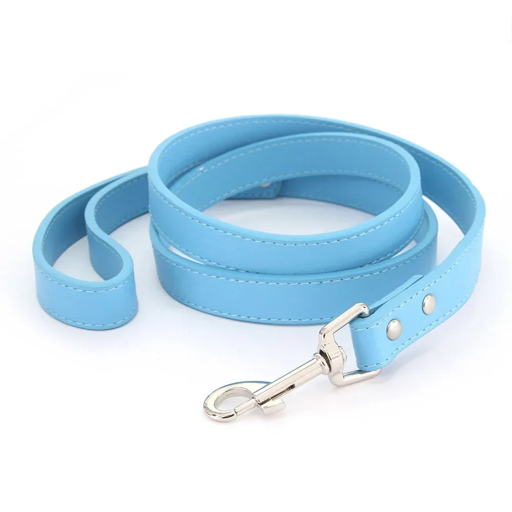 Laisse pour chien - Cuir