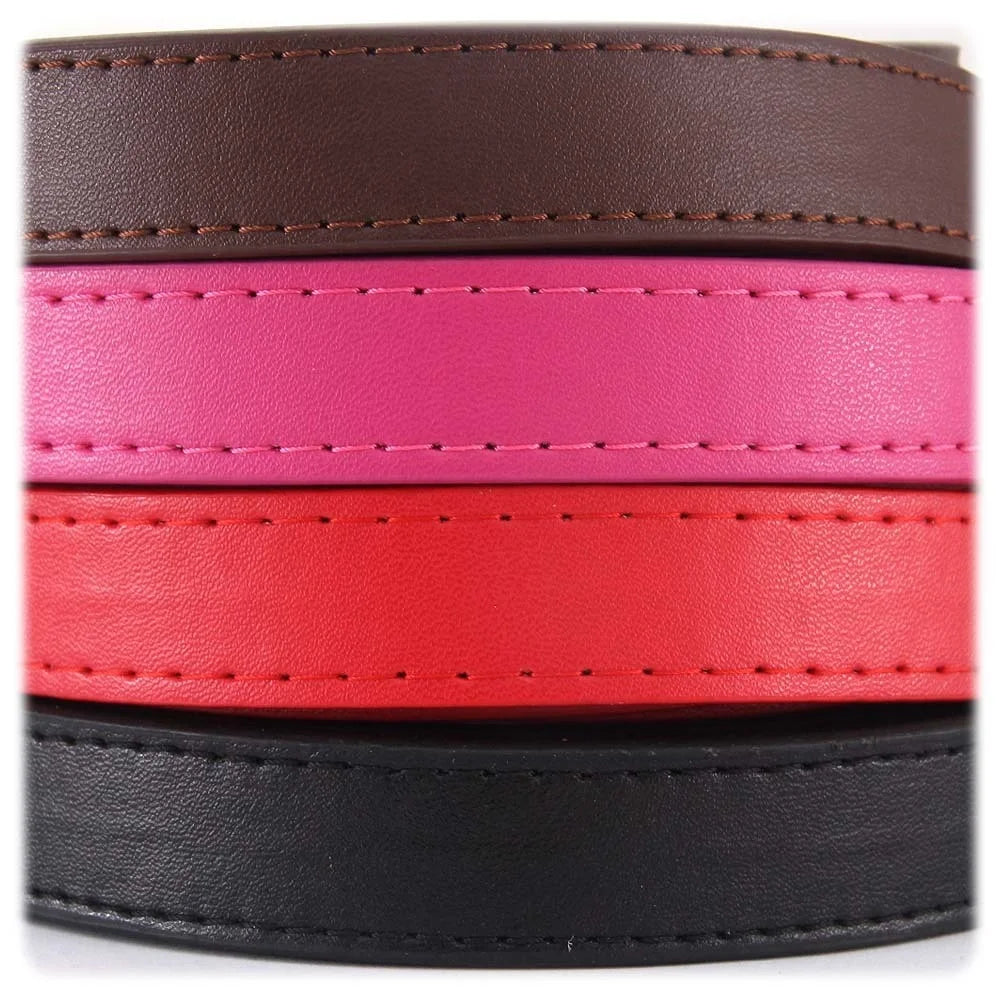 Laisse pour chien - Cuir