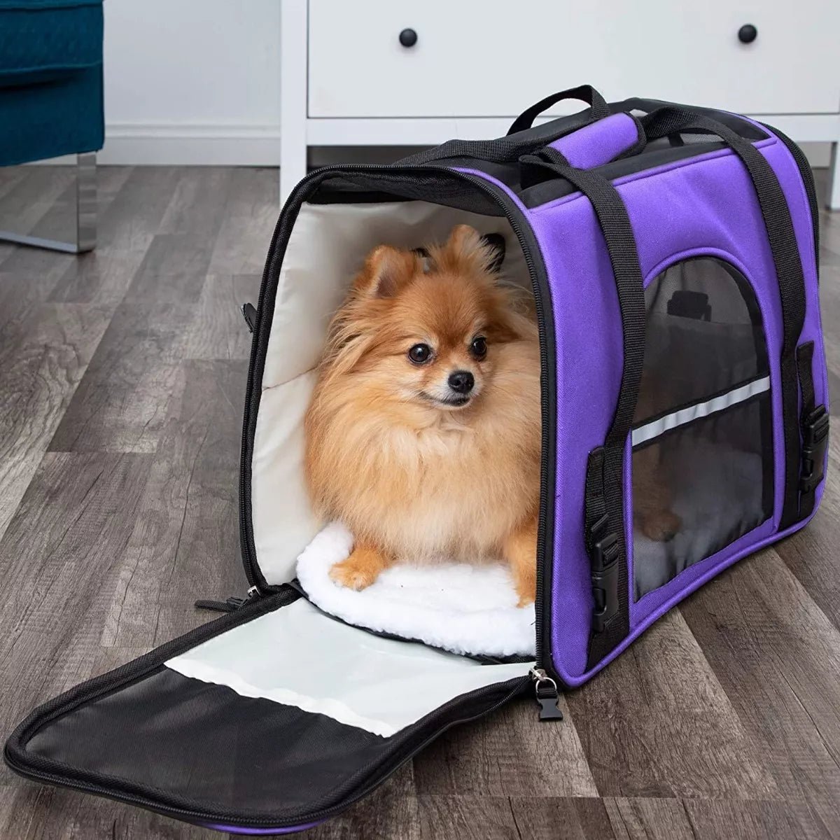 DogCarrierBag™ - Violet - Mon chien voyageur