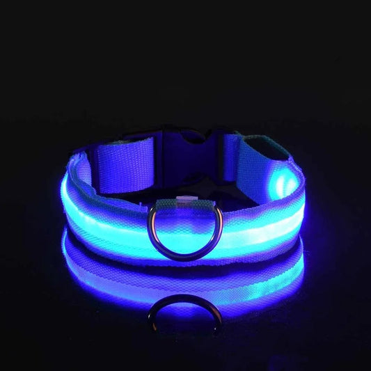 LEDCollarDog™ - Bleu - Mon chien voyageur