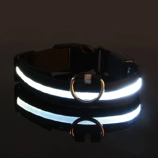 LEDCollarDog™ - Noir - Mon chien voyageur