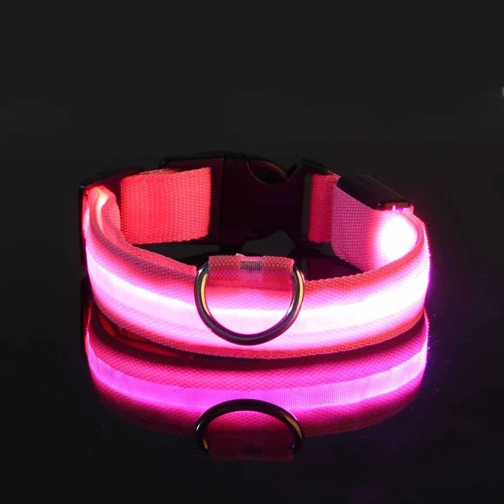 LEDCollarDog™ - Rose - Mon chien voyageur