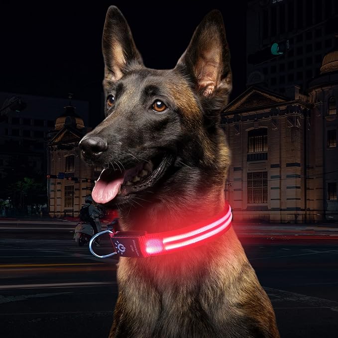 LEDCollarDog™ - Rose - Mon chien voyageur