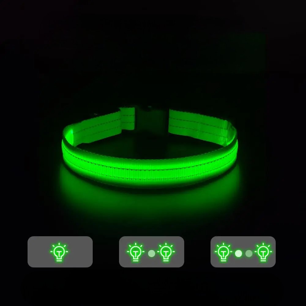 LEDCollarDog™ - Vert - Mon chien voyageur