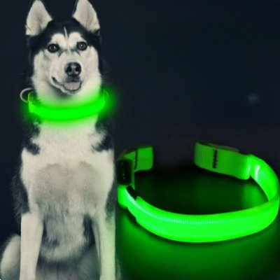 LEDCollarDog™ - Vert - Mon chien voyageur