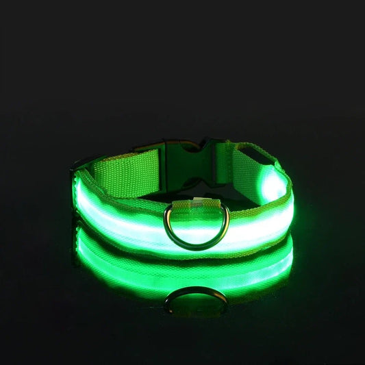 LEDCollarDog™ - Vert - Mon chien voyageur