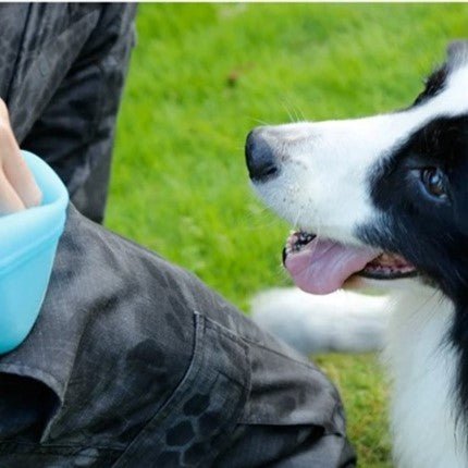 TreatSnack™ - Bleu - Mon chien voyageur